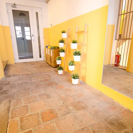 Πανσιόν Ambrozic *